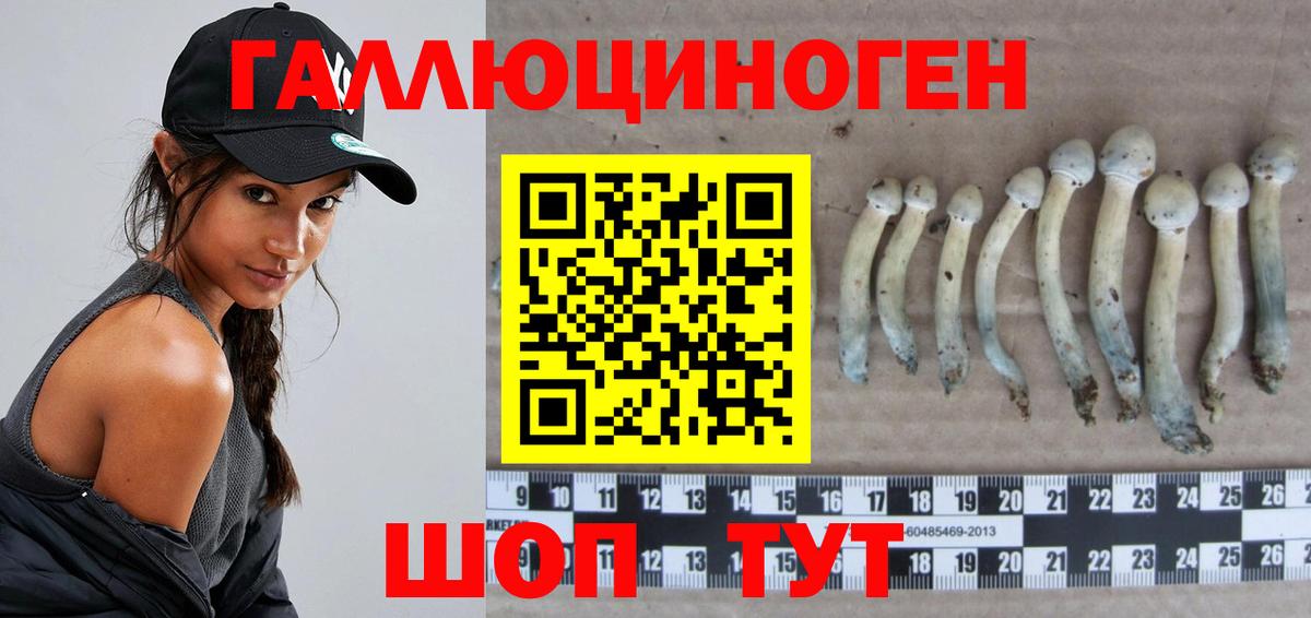 Галлюциногенные грибы Magic Shrooms  купить   Киселёвск  Вход с VPN 