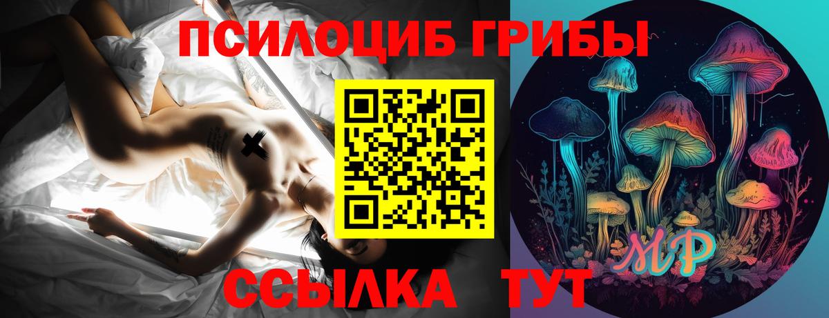 Галлюциногенные грибы Magic Shrooms Киселёвск